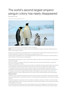 The World's Second-Largest Emperor Penguin Colony Has Nearly Disappeared