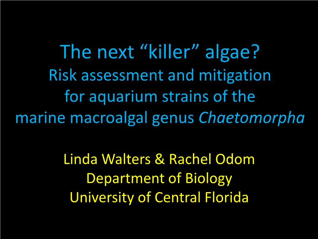 The Next “Killer” Algae? Risk Assessment and Mitigation for Aquarium Strains of the Marine Macroalgal Genus Chaetomorpha