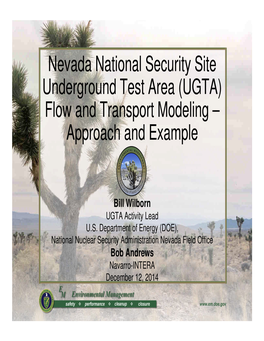 Nevada National Security Site Underground Test Area (UGTA) Flow and Transport Modeling – Approach and Example