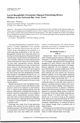 Trematoda: Digenea) Parasitizing Bivalve Molluscs in the Galveston Bay Area, Texas