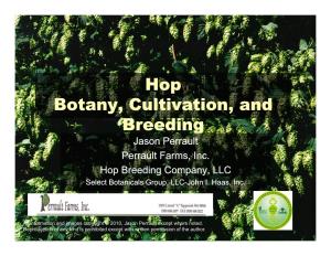 Hhop Botany, Cultivation, and Y, , Y, , Breeding