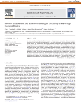 Influence of Zeaxanthin and Echinenone Binding on the Activity