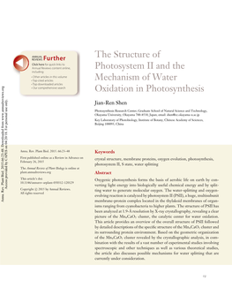 The Structure of Photosystem II and the Mechanism of Water Oxidation in Photosynthesis