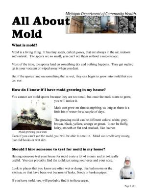 All About Mold What Is Mold?