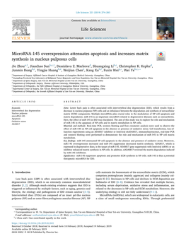 Microrna-145 Overexpression Attenuates Apoptosis and Increases Matrix Synthesis in Nucleus Pulposus Cells T