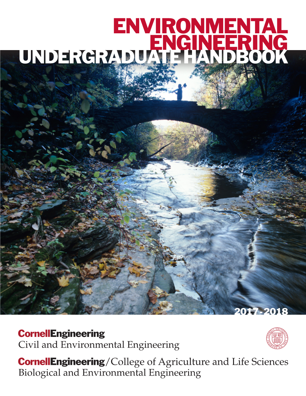 Undergraduate Handbook