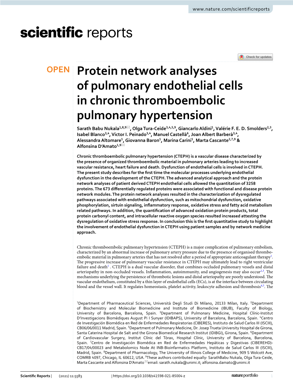 Protein Network Analyses of Pulmonary Endothelial Cells In