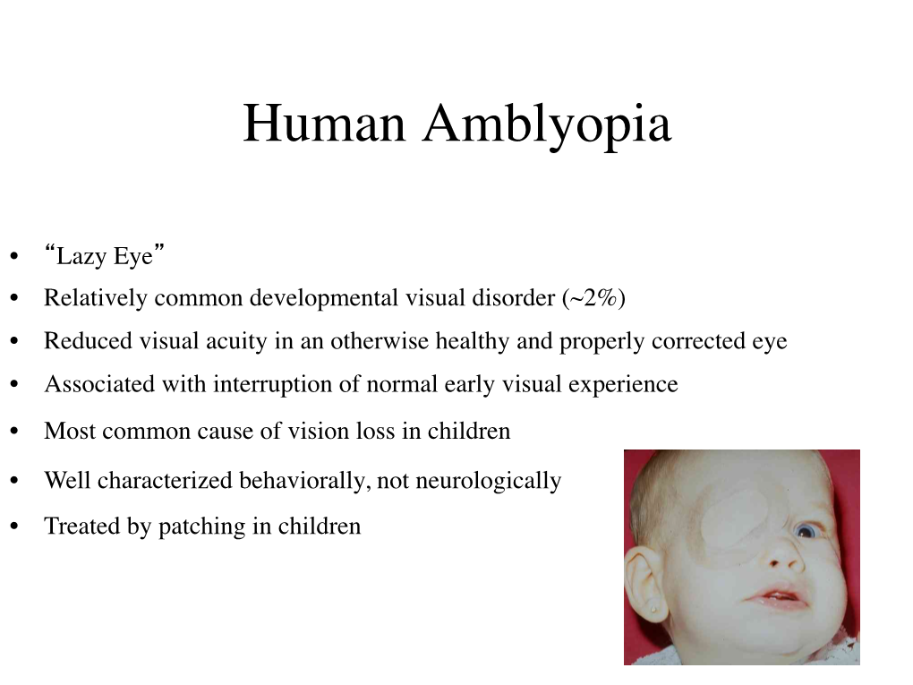 Human Amblyopia