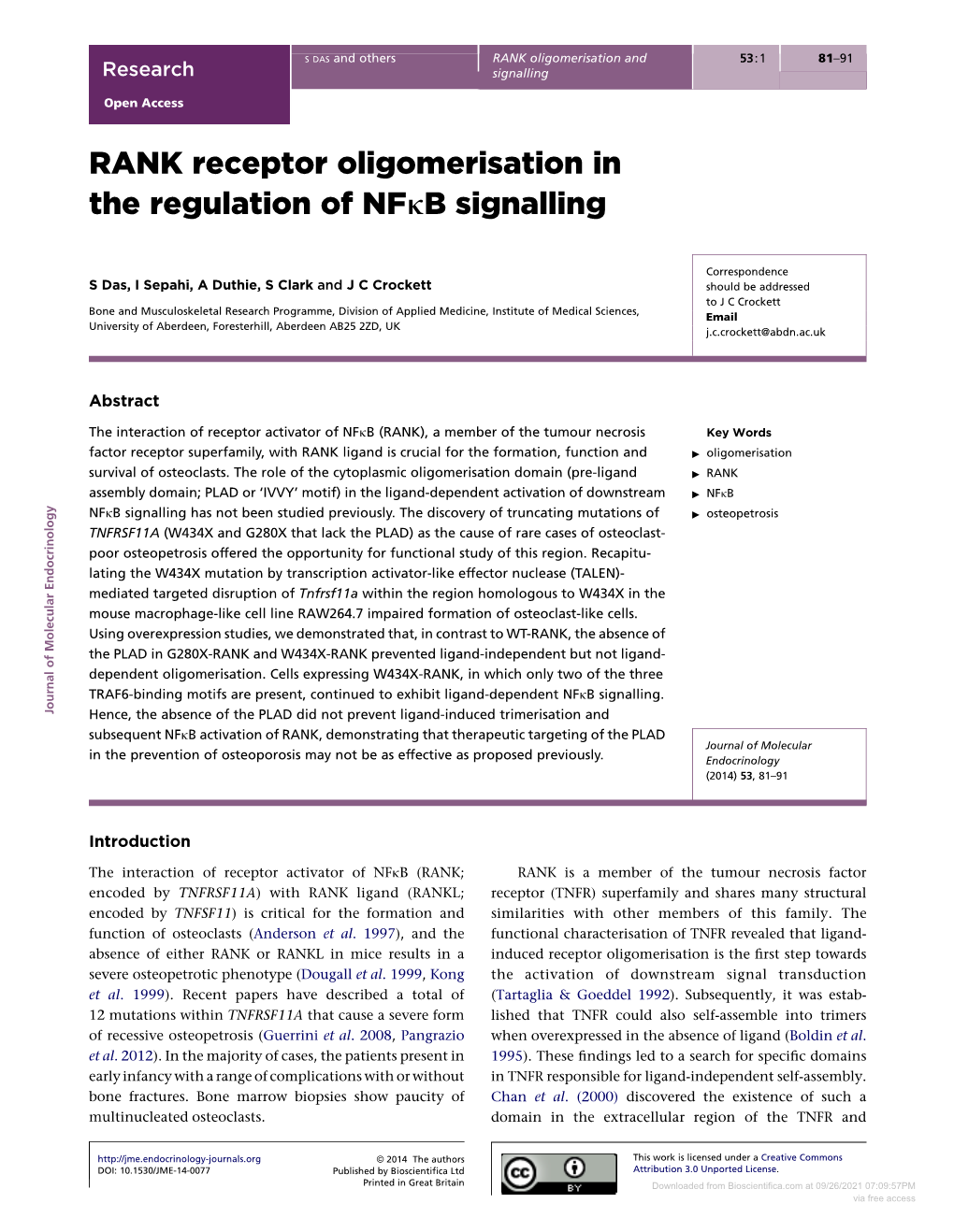 RANK Receptor Oligomerisation in the Regulation of Nfkb Signalling