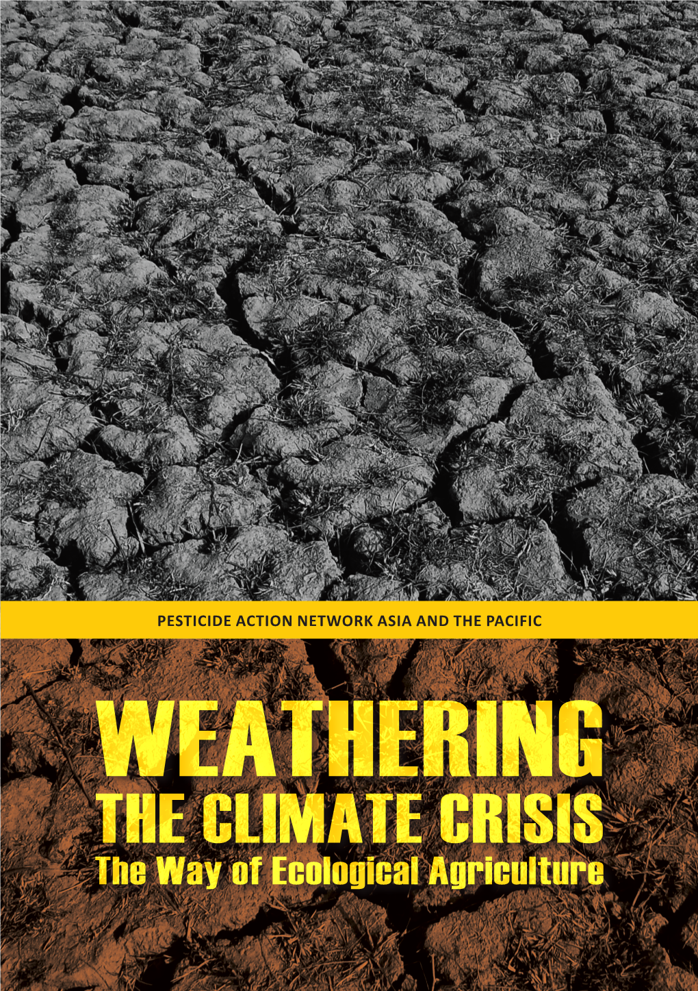 Weathering the Climate Crisis: the Way of Ecological Agriculture