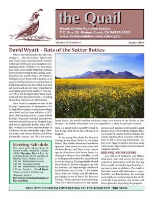 David Wyatt • Bats of the Sutter Buttes What Is the Only Mammal That Flies? Yes, You Got It