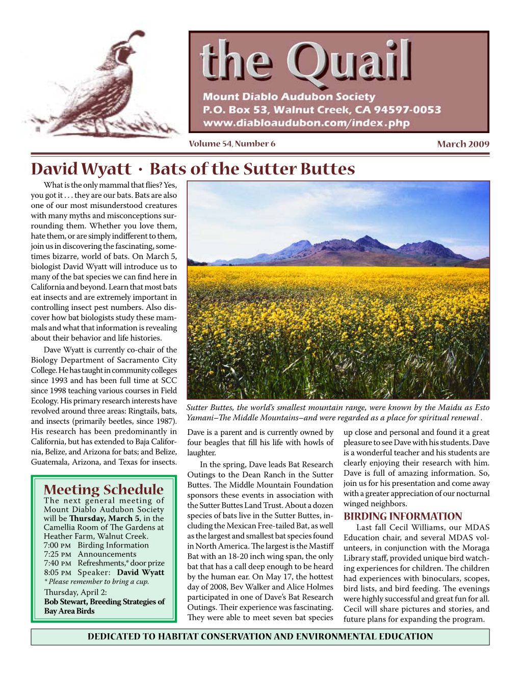 David Wyatt • Bats of the Sutter Buttes What Is the Only Mammal That