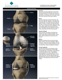 Femur Tibia Fibula Patella Lateral Meniscus Medial Meniscus Anterior