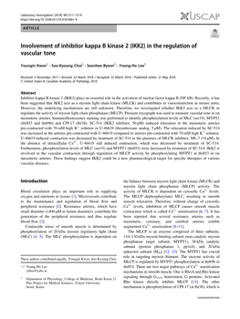 Involvement of Inhibitor Kappa B Kinase 2 (IKK2) in the Regulation of Vascular Tone