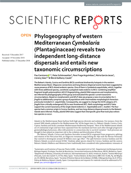 Phylogeography of Western Mediterranean Cymbalaria