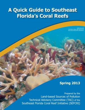 A Quick Guide to Southeast Florida's Coral Reefs