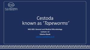 Cestoda Known As 'Tapeworms'