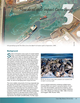 How Do Oil Spills Impact Casco Bay?