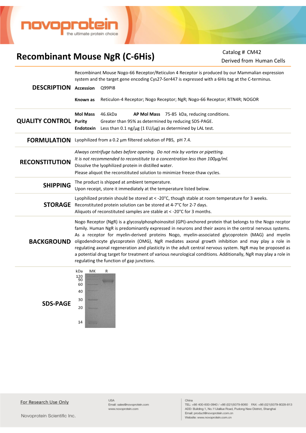 Recombinant Mouse Ngr (C-6His) Derived from Human Cells