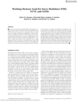 Working Memory Load for Faces Modulates P300, N170, and N250r