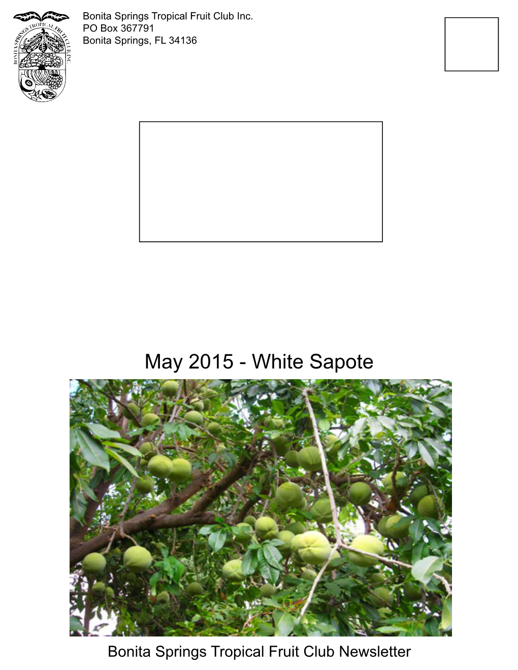 White Sapote