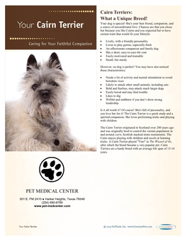 Cairn Terriers: What a Unique Breed! PET MEDICAL CENTER