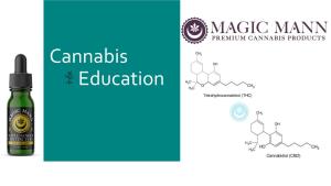 Cannabis Education Types of Cannabis