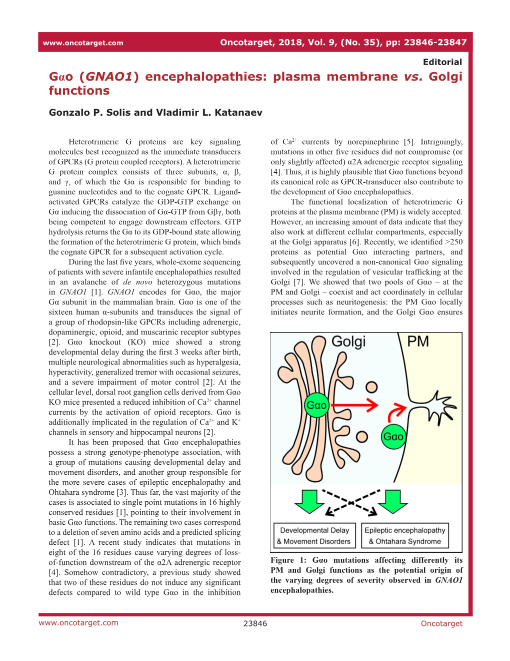 Gαo (GNAO1) Encephalopathies: Plasma Membrane Vs. Golgi Functions