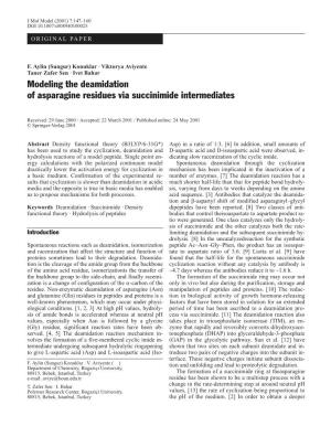 Modeling the Deamidation of Asparagine Residues Via Succinimide Intermediates