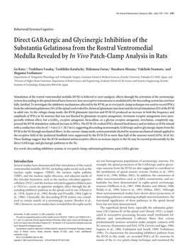 Direct Gabaergic and Glycinergic Inhibition of the Substantia Gelatinosa from the Rostral Ventromedial Medulla Revealed by in Vivo Patch-Clamp Analysis in Rats