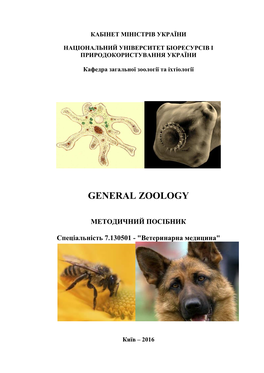 General Zoology