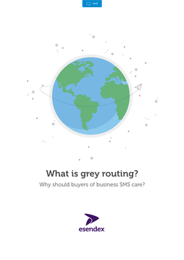 What Is Grey Routing? Why Should Buyers of Business SMS Care? Contents Page