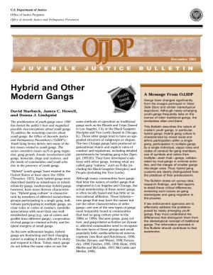Hybrid and Other Modern Gangs
