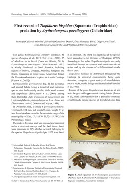 Squamata: Tropiduridae) Predation by Erythrolamprus Poecilogyrus (Colubridae