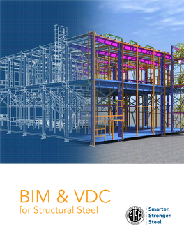 BIM & VDC for Structural Steel