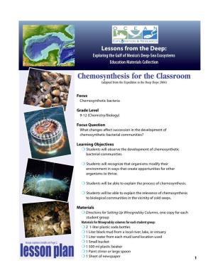 Chemosynthesis for the Classroom (Adapted from the Expedition to the Deep Slope 2006)
