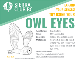 Owl Eyes Activity