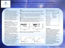 Staphylococcus Aureus and Other Staphylococci by an Endolysin A.C