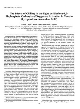 Bisphosphate Carboxylase/Oxygenase Activation in Tomato (Lycopersicon Esculentum Mil!.)