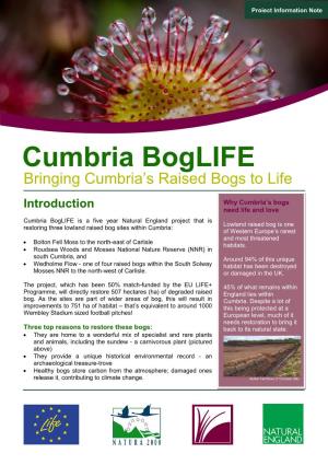 Cumbria Boglife