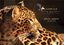 Photo Safaris
