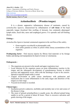 Actinobacillosis (Wooden Tongue)