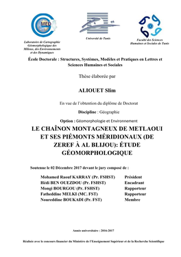 Le Chaînon Montagneux De Metlaoui Et Ses Piémonts Méridionaux (De Zeref À Al Blijou): Étude Géomorphologique