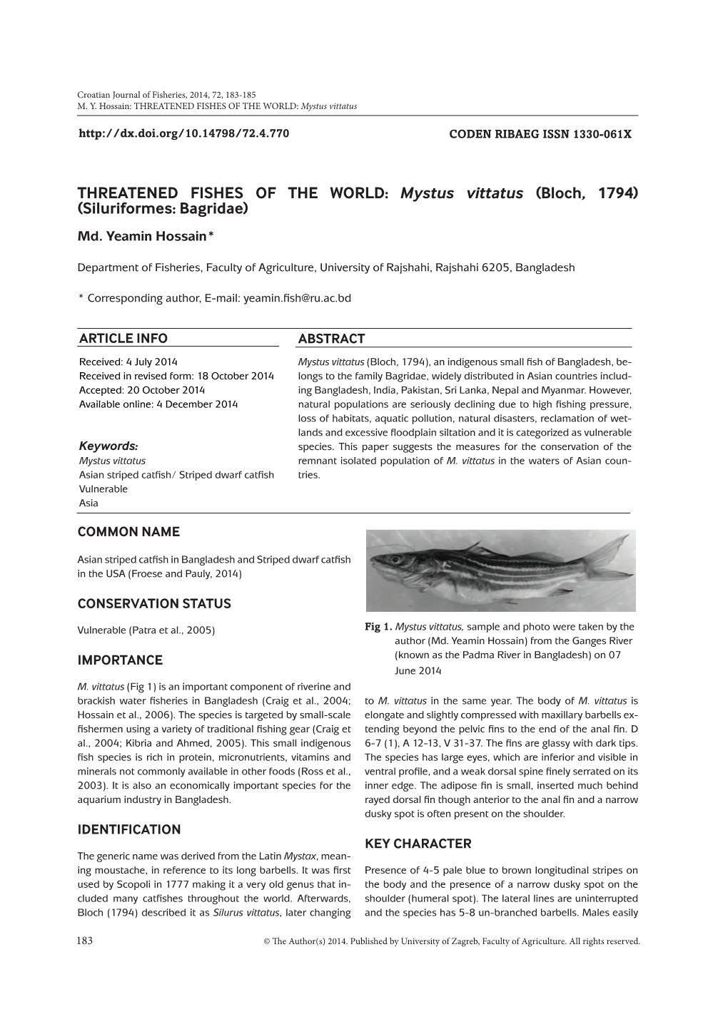 0\VWXV YLWWDWXV (Bloch, 1794) (Siluriformes: Bagridae)