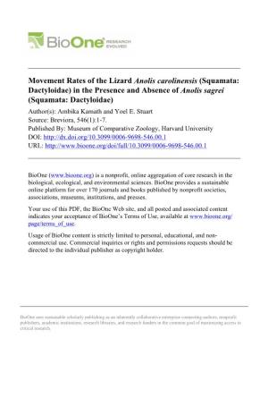 Movement Rates of the Lizard Anolis Carolinensis (Squamata: Dactyloidae) in the Presence and Absence of Anolis Sagrei (Squamata