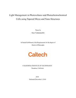 Light Management in Photovoltaics and Photoelectrochemical Cells