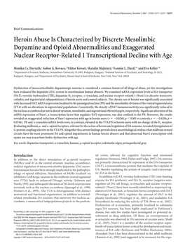 Heroin Abuse Is Characterized by Discrete Mesolimbic Dopamine and Opioid Abnormalities and Exaggerated Nuclear Receptor-Related 1 Transcriptional Decline with Age