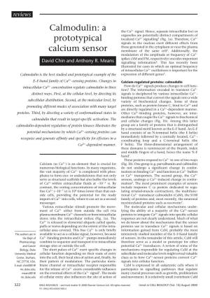 Calmodulin: a Prototypical Calcium Sensor