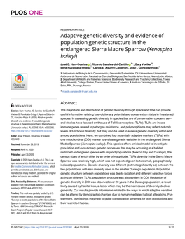 Adaptive Genetic Diversity and Evidence of Population Genetic Structure in the Endangered Sierra Madre Sparrow (Xenospiza Baileyi)