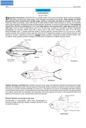 APOGONIDAE Cardinalfishes by G.R